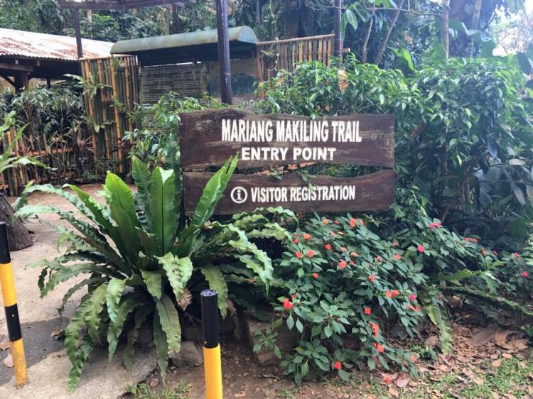 11050260_1016245401747247_8144085122040715224_n