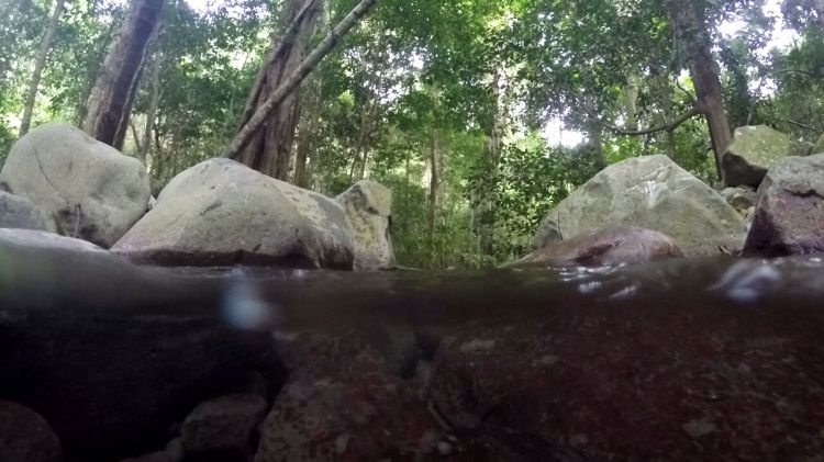 GOPR2475_1458382766492_high_2503