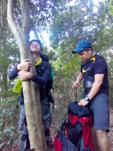 IMG_20160319_145218 (1)