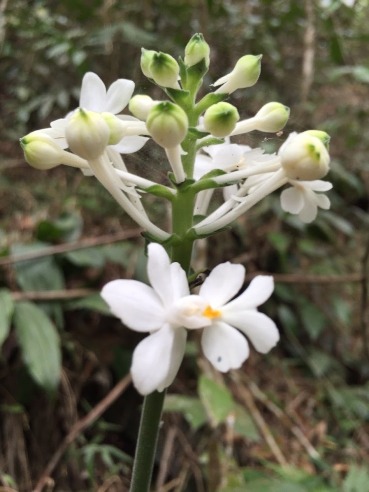 image-7d6ce82fb6b54308f019e8315bd632f3348e64b55fc6d8e82f6afeb7c98db315-V