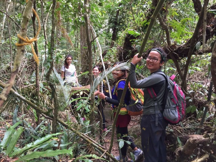 image-b3c852ce10fdfb440e96cb348a5d257755cfb6db9c70dc131a2914fbe26edc5f-V