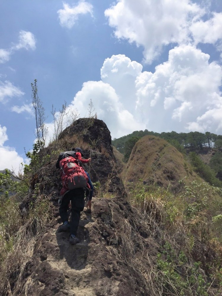 image-2e65efe3445e15fc2c75e8ce9d0e23eaebc80874be1428b9e3a43c10f625d90a-V