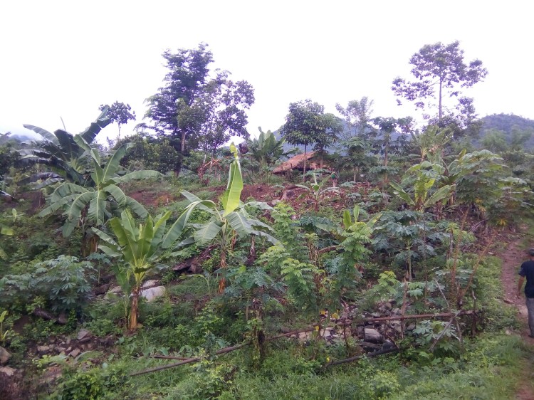 e0457cec-9b03-4404-ad77-32b7831b73a0