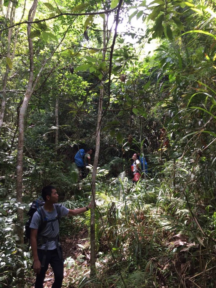 Angel, Miguel, and Kai on the trial to Mt. Isarog summit.