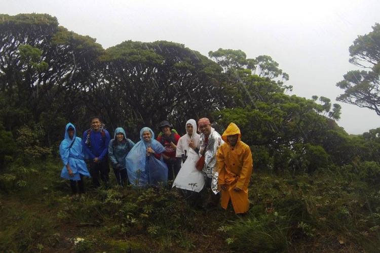 15541058_10209824132594356_8162511504748362584_o