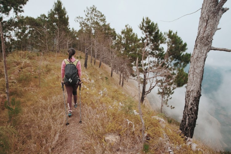 Processed with VSCO with c8 preset